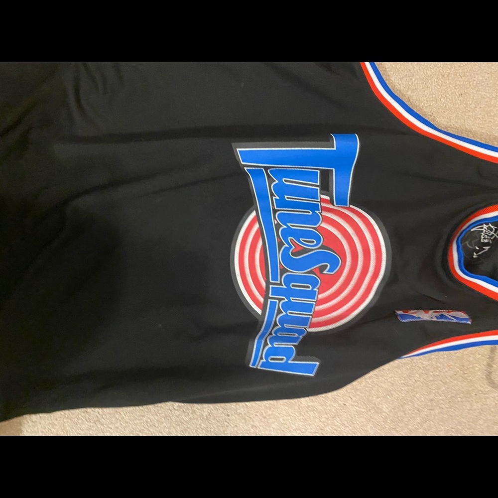 Tunes squad jersey